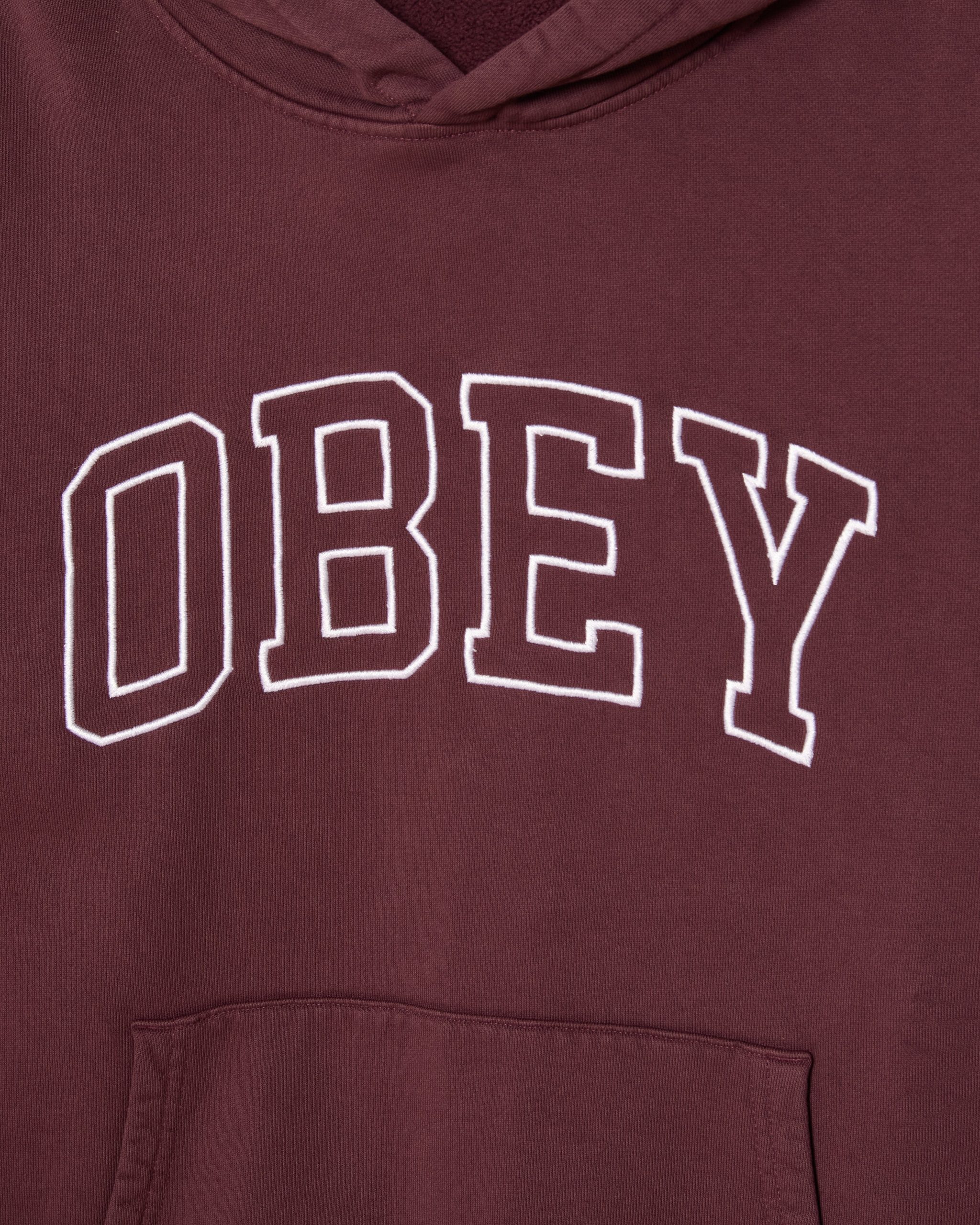 COLLEGIATE FADED PULLOVER - Image 3
