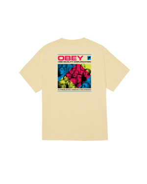 HIGH QLTY AMPLIFICATION CLASSIC T-SHIRT